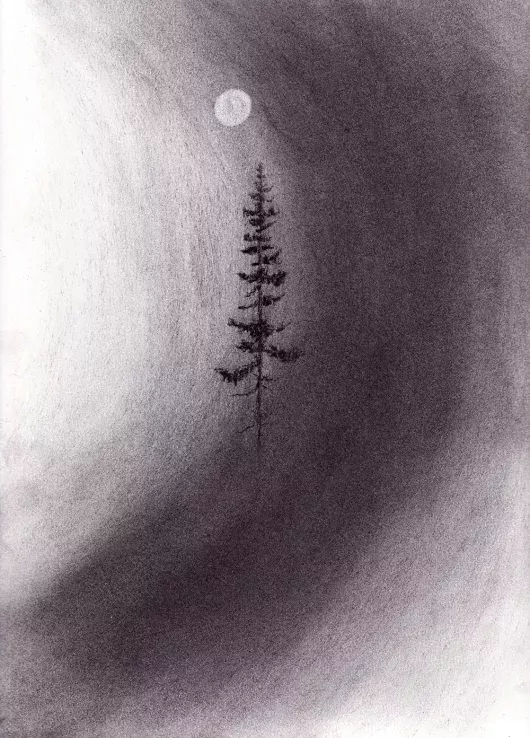 pencil drawing